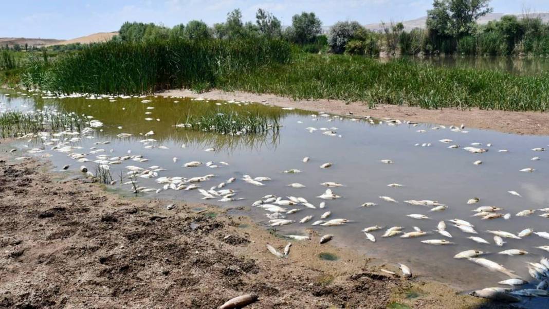 O kentteki korkutan görüntülere inceleme! Bakanlık yetkilileri bölgeye gönderildi 9